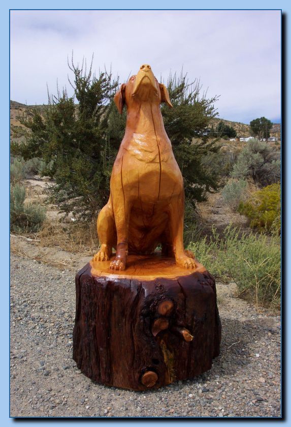 2-56 dog-rottweiler-archive